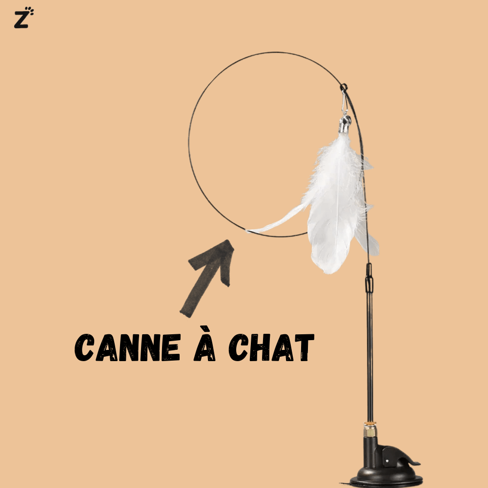 Furry Bird - Jouet interactif pour chats
