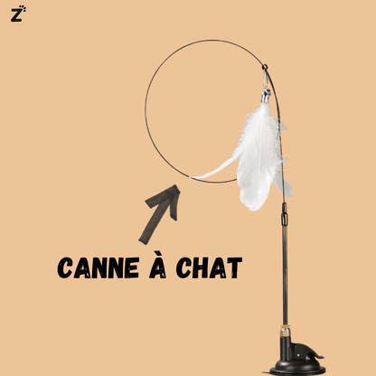 Furry Bird - Jouet interactif pour chats