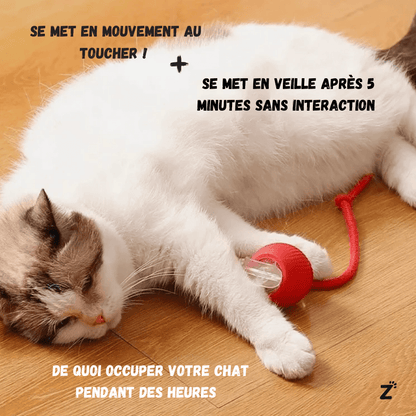 RouleMiaou™ - Jouet interactif pour chats