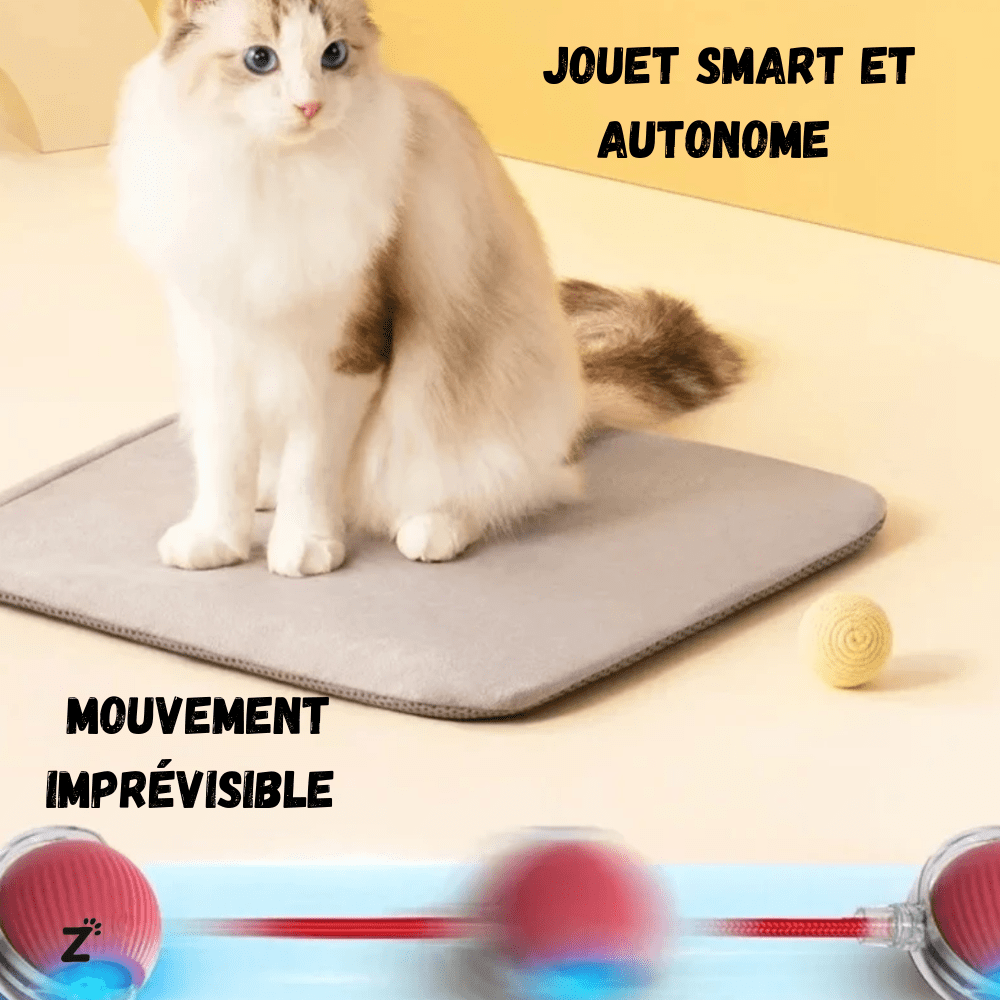 RouleMiaou™ - Jouet interactif pour chats