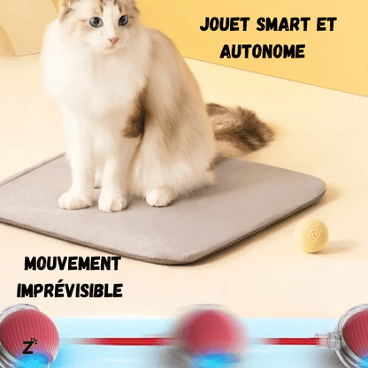 RouleMiaou™ - Jouet interactif pour chats