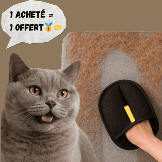 Gants de nettoyage anti-poils Réutilisable & Écologique
