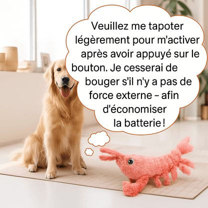 Hormard le jouet interactif