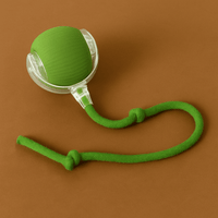 Vert