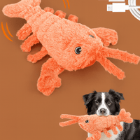 lobster dog toy