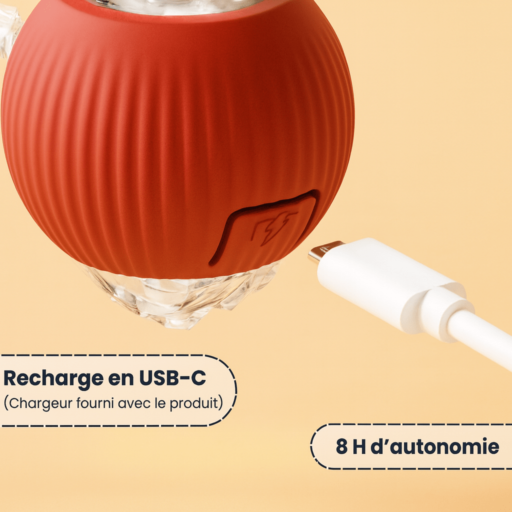 RouleMiaou™ - Jouet interactif pour chats