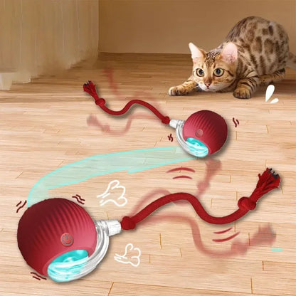 RouleMiaou™ - Jouet interactif pour chats