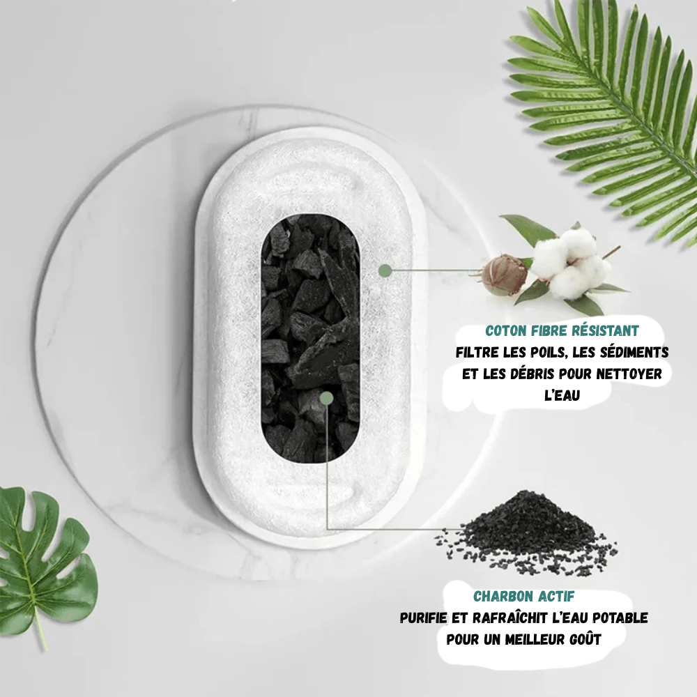 Pack Filter pour Fontaine à Eau