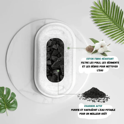 Pack Filter pour Fontaine à Eau