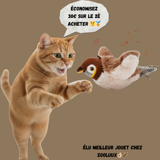 Furry Bird - Jouet interactif pour chats
