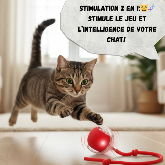 RouleMiaou™ - Jouet interactif pour chats