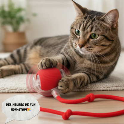 RouleMiaou™ - Jouet interactif pour chats