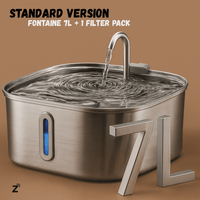 Version Standard